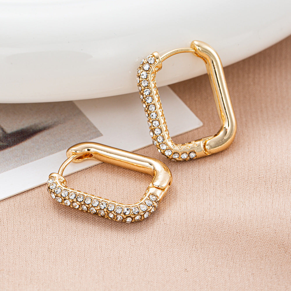Round Ring Earrings