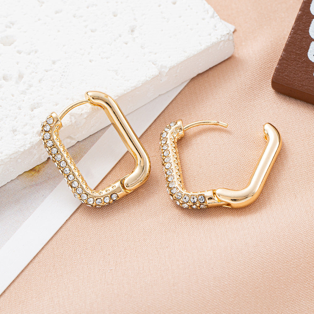 Round Ring Earrings