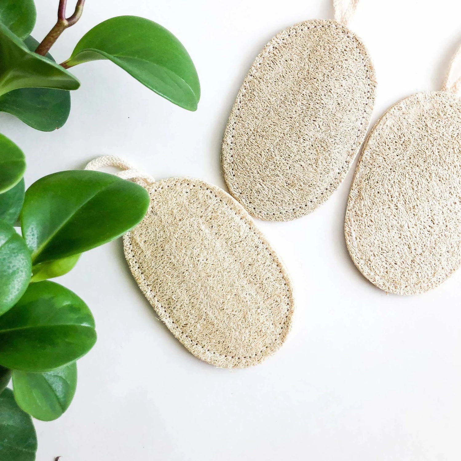 Natural loofah sponge for eco-friendly dish and vegetable cleaning, biodegradable and compostable scrubber.